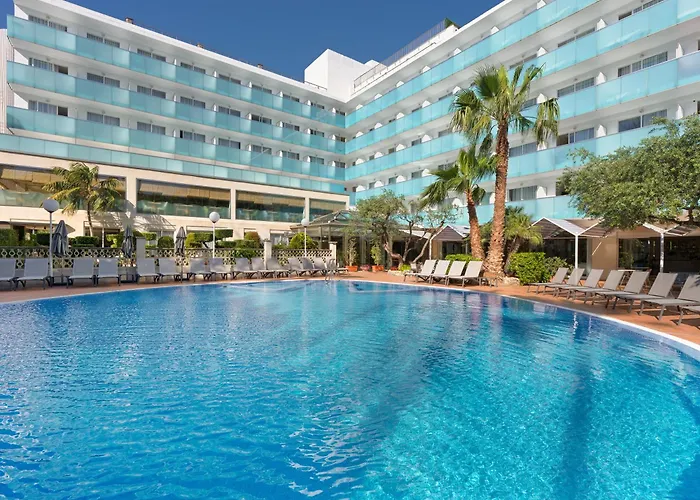 H10 Delfin - Adults Only