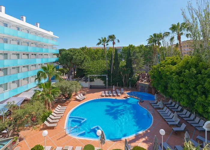 H10 Delfin - Adults Only